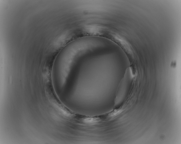 X0000092000465200709061443