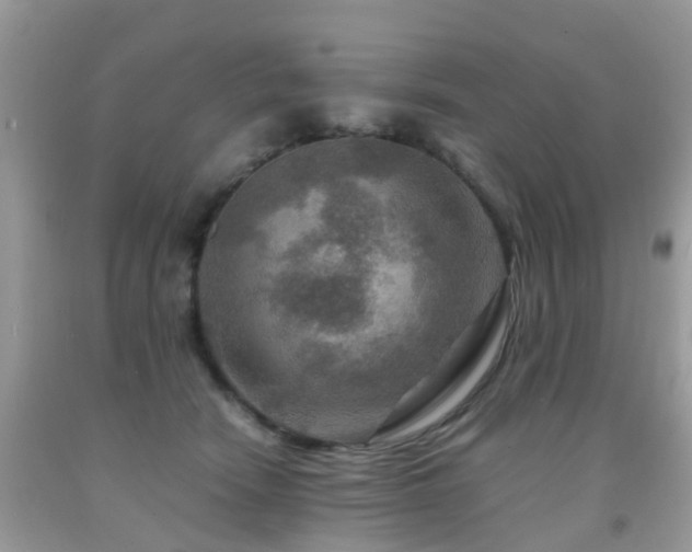 X0000092000466200709061443