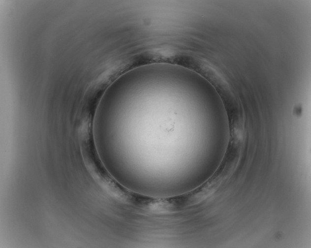 X0000092000468200709061443