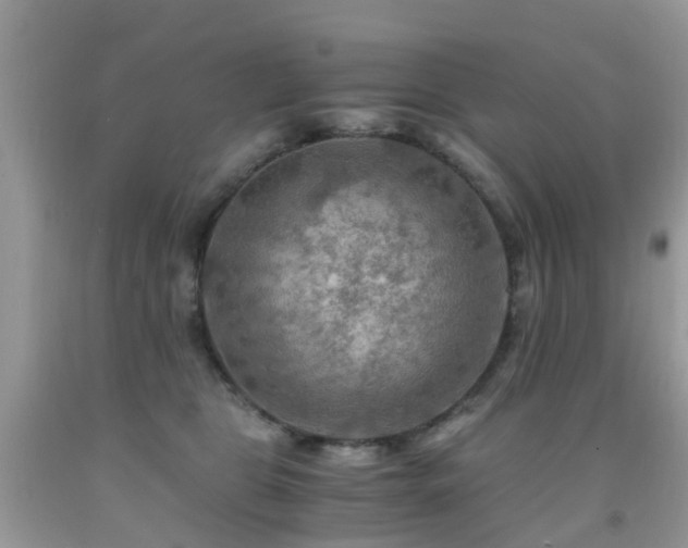 X0000092000469200709061443