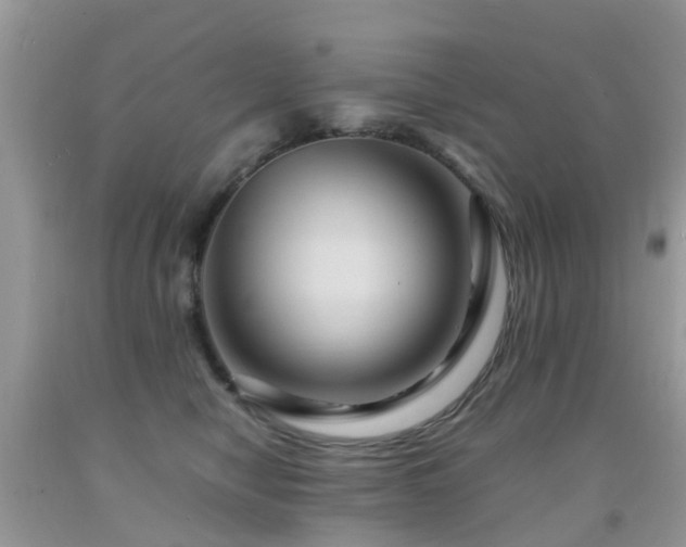 X0000092000470200709061443