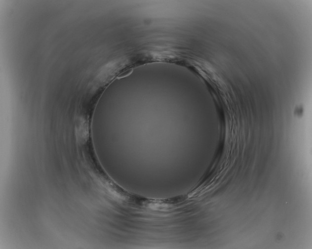 X0000092000471200709061443