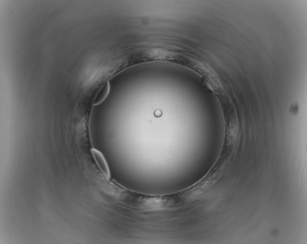 X0000092000473200709061443