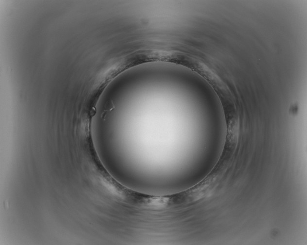 X0000092000474200709061443