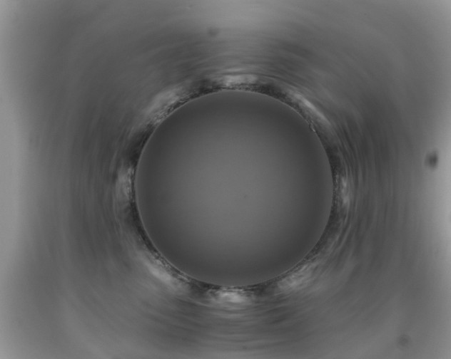 X0000092000475200709061443