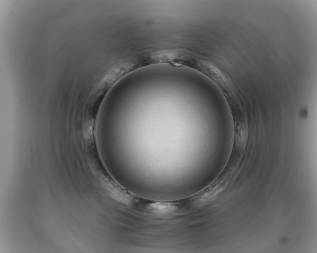 X0000092000477200709061443