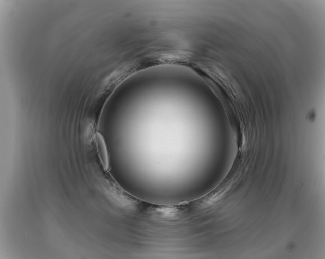 X0000092000478200709061443