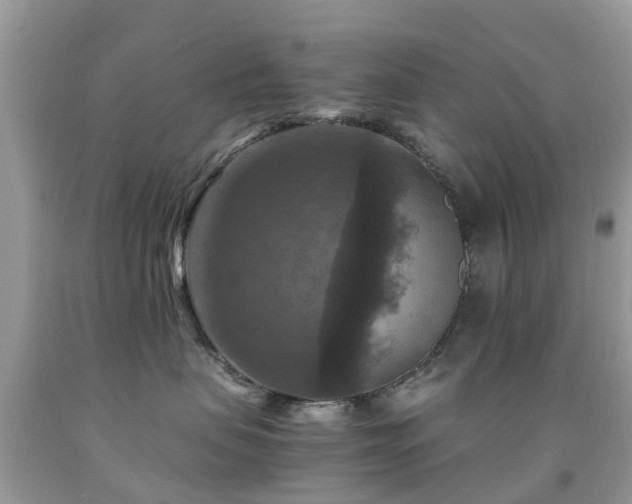 X0000092000479200709061443