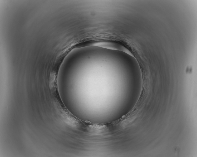 X0000092000480200709061443