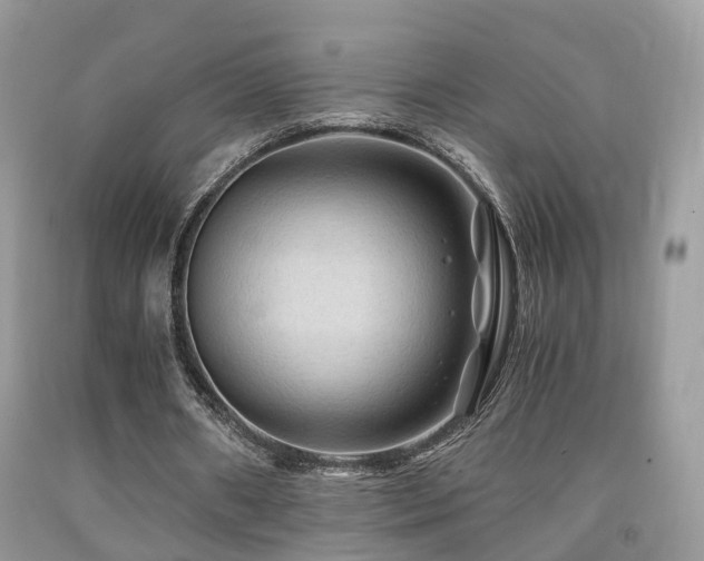 X0000092000482200709061442