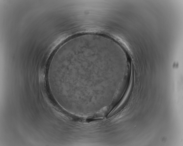 X0000092000483200709061442