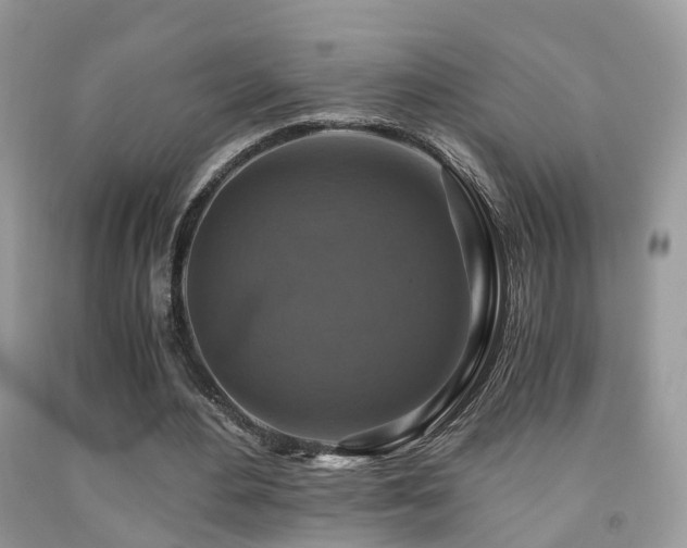 X0000092000484200709061442