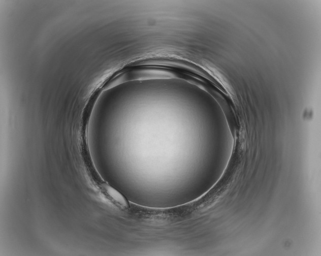 X0000092000485200709061442