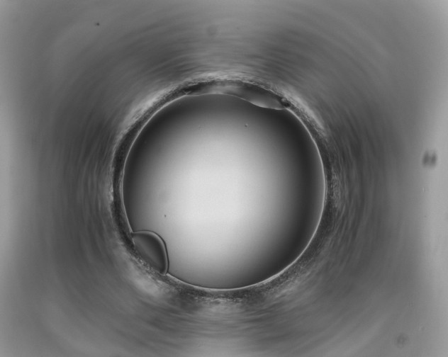 X0000092000486200709061442