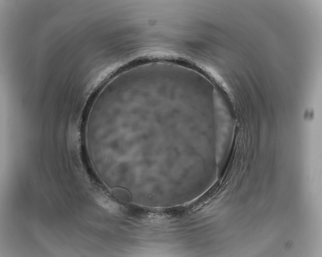 X0000092000487200709061442