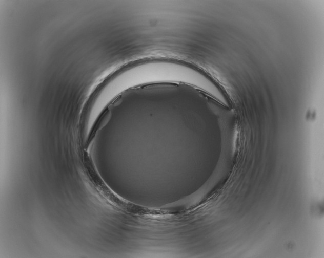 X0000092000488200709061442