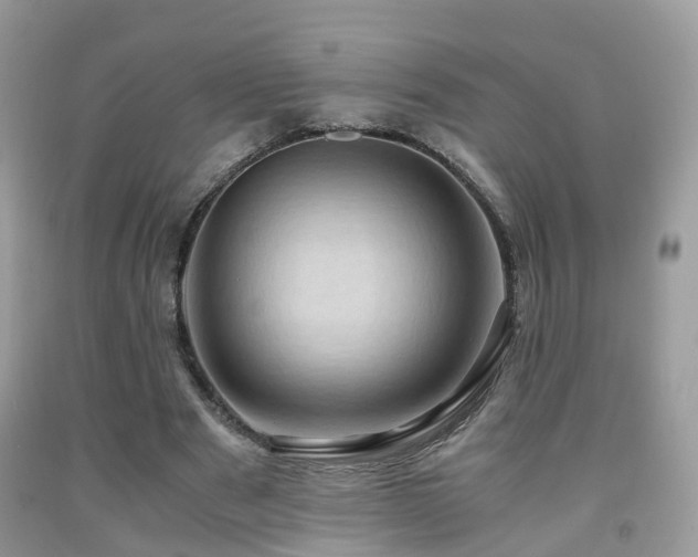 X0000092000489200709061442