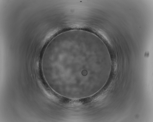 X0000092000491200709061442