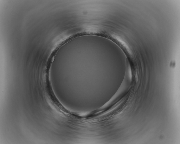 X0000092000492200709061442