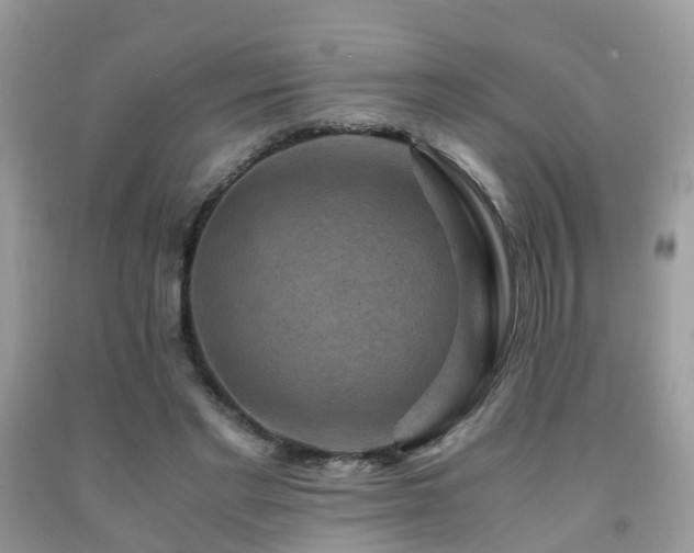 X0000092000493200709061442