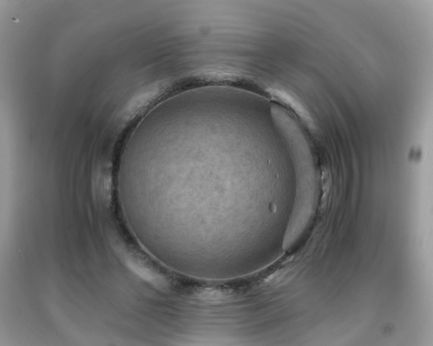 X0000092000494200709061442