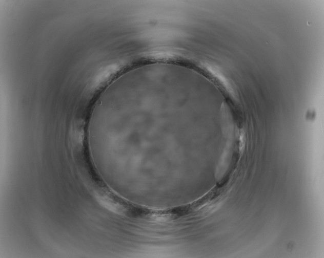 X0000092000495200709061442