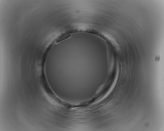 X0000092000496200709061442