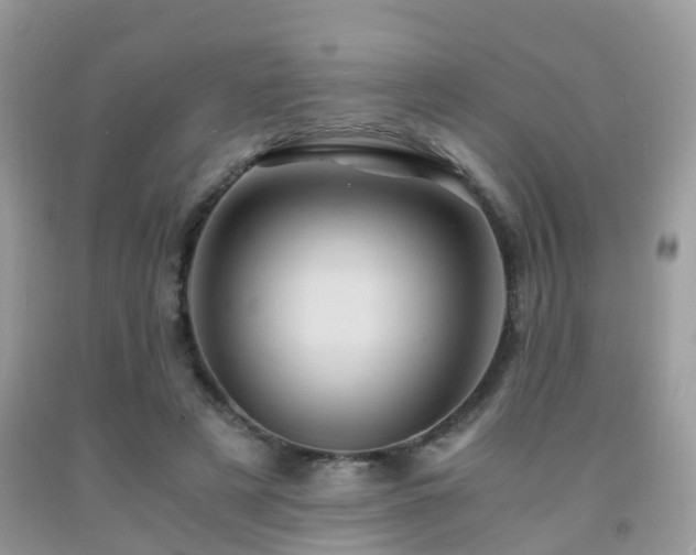 X0000092000497200709061442