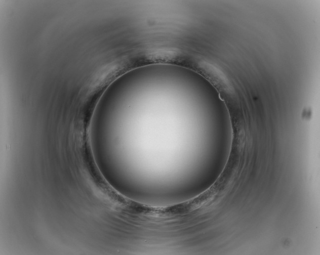 X0000092000498200709061442