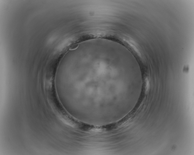 X0000092000499200709061442