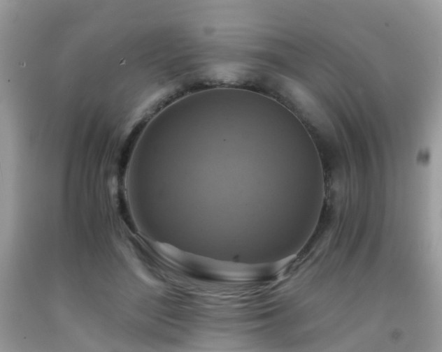 X0000092000500200709061442