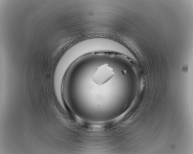 X0000092000501200709061442