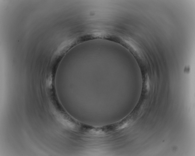 X0000092000502200709061442