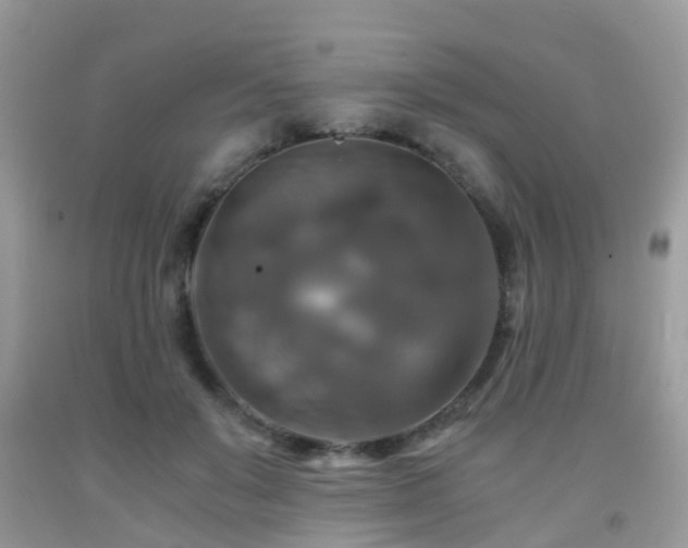 X0000092000503200709061442