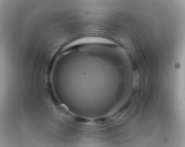 X0000092000504200709061442