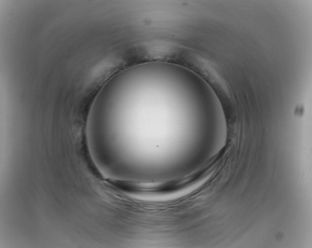 X0000092000505200709061442