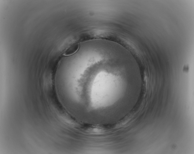 X0000092000506200709061442