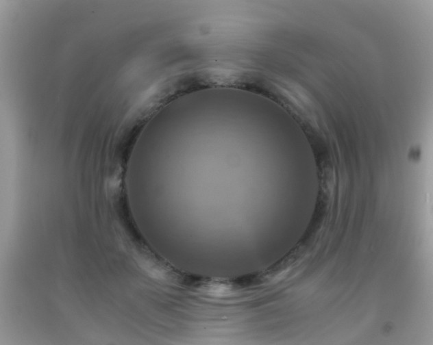 X0000092000507200709061442