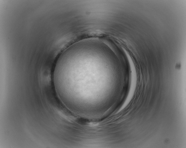 X0000092000508200709061442