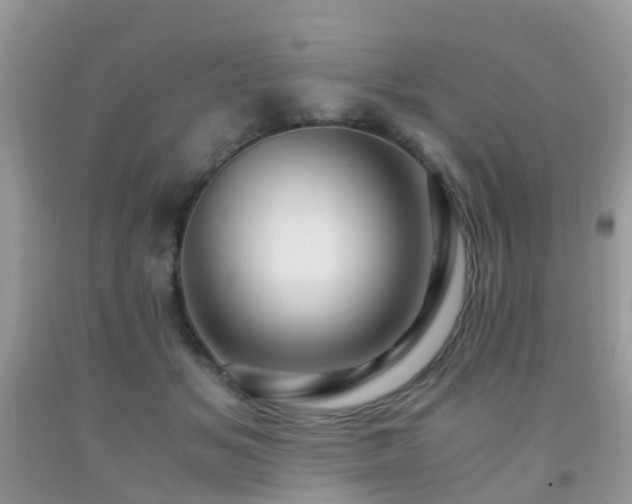 X0000092000509200709061442