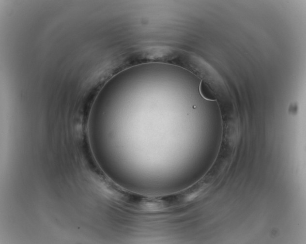 X0000092000510200709061442