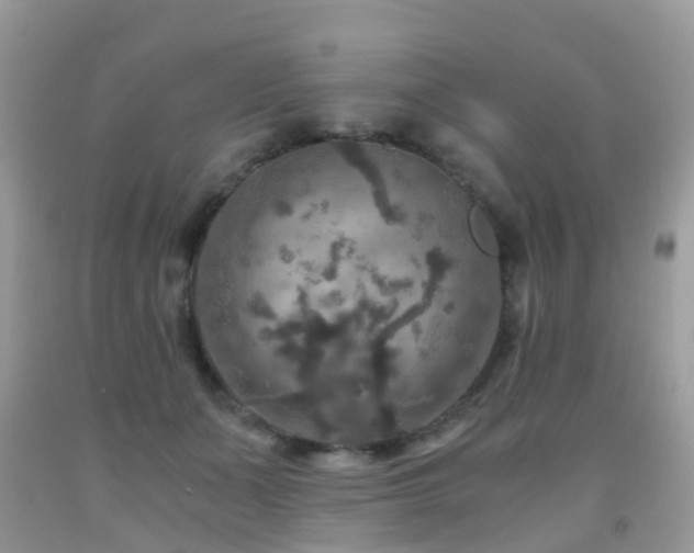 X0000092000511200709061442