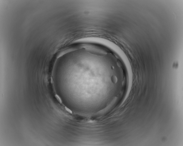 X0000092000512200709061442