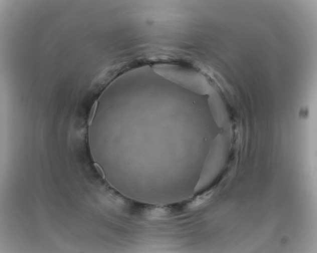 X0000092000513200709061442