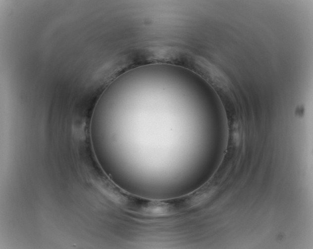 X0000092000514200709061442