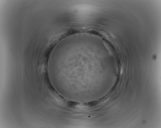 X0000092000515200709061442