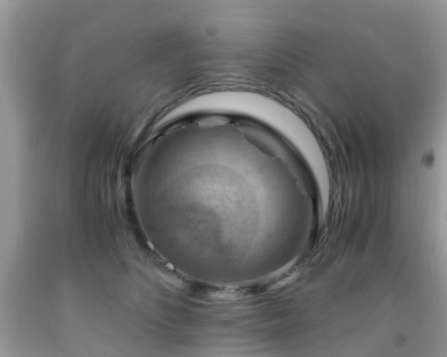 X0000092000516200709061442