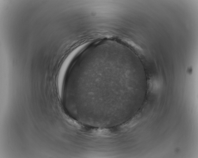 X0000092000517200709061442