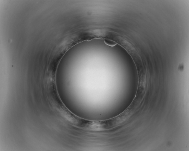 X0000092000518200709061442