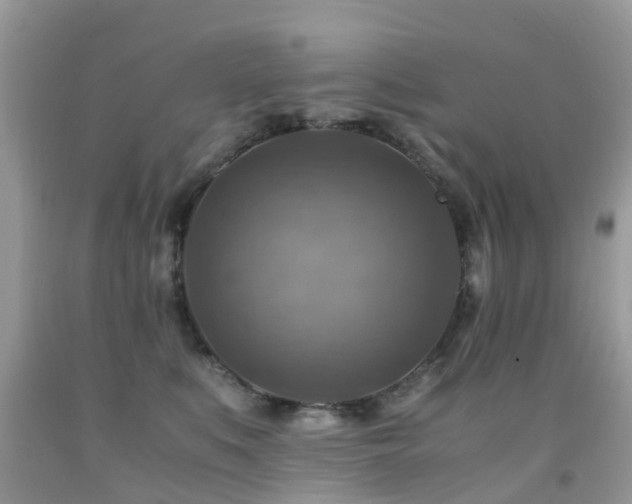 X0000092000519200709061442